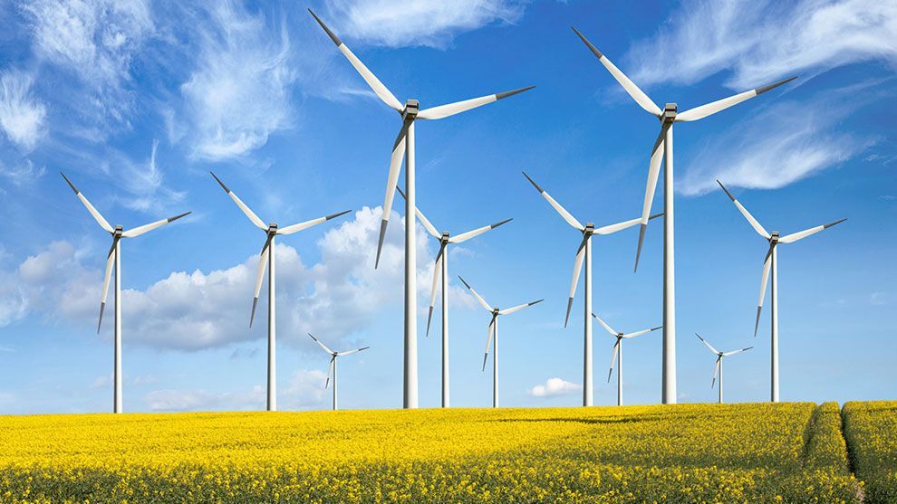 Wind turbines in a yellow field on a sunny day