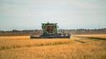 A combine harvester harvesting in a field