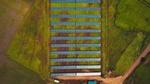 Sky view of solar panels